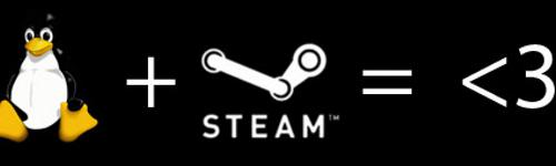 Steam sur Linux